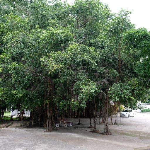 Wat Phra Net (Khun Tan District)