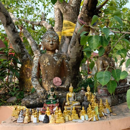 Wat Phra Sing (Mueang District) : Buddha Image