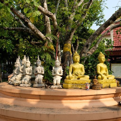 Wat Phra Sing (Mueang District) : Buddha Image