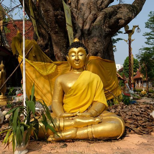 Wat Phra Sing (Mueang District) : Buddha Image