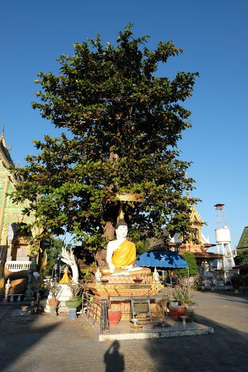 Wat Pa Sao (Mueang District)