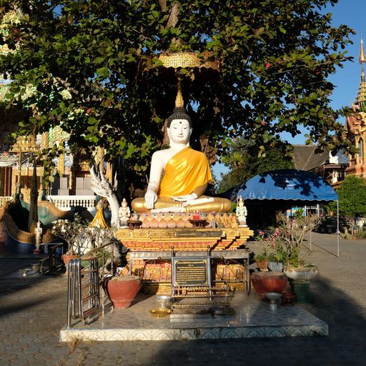 Wat Pa Sao (Mueang District) : Buddha Image