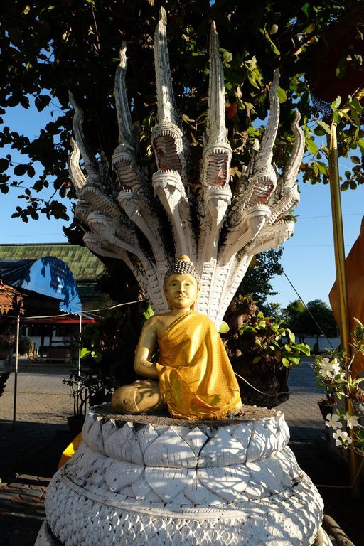 Wat Pa Sao (Mueang District) : Buddha Image