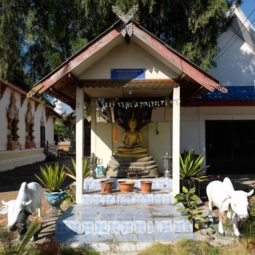 Wat Ku Khao (Ban Hong District) : Buddha Image