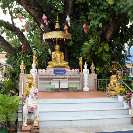 Wat Pa Sak Noi (San Kamphaeng District) : Buddha Image