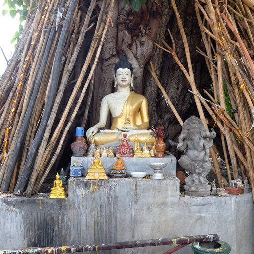 Wat Buak Khang (San Kamphaeng District) : Buddha Image