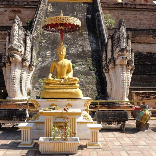 Wat Cedi Luang Worawihan (Mueang District) : Buddha Image