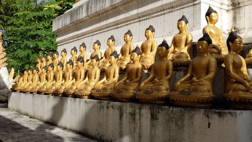 Wat Chang Khong (Mueang District) : Buddha Image