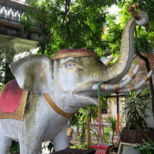 Wat Chang Khong (Mueang District)