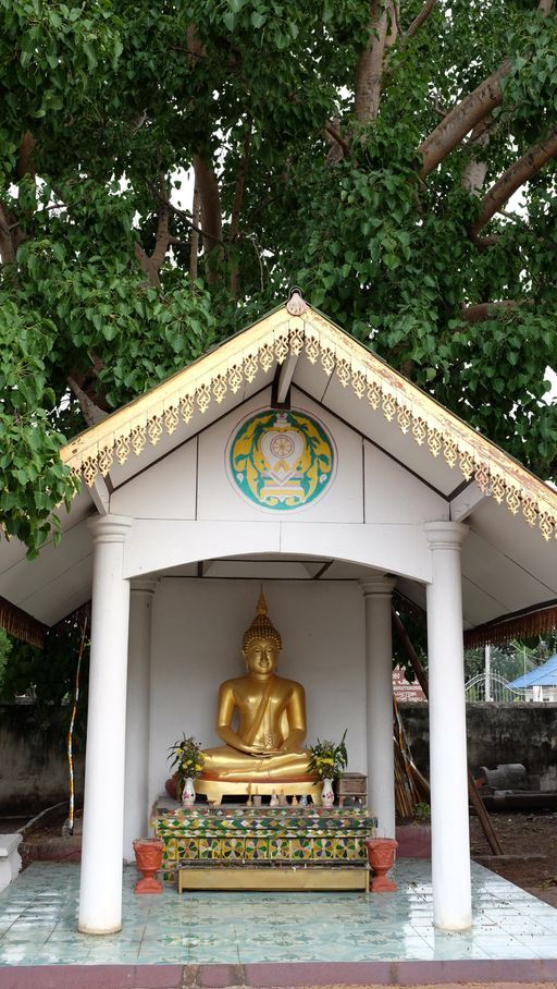 Wat Don Pin (San Kamphaeng District) : Buddha Image