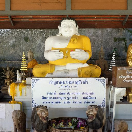 Wat Phra That Chang Kham Worawihan (Mueang District) : Buddha Image