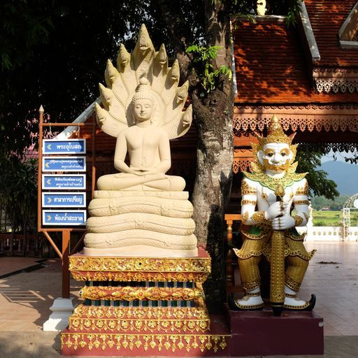 Wat Si Mongkhon (Kong) (Tha Wang Pha District) : Buddha Image