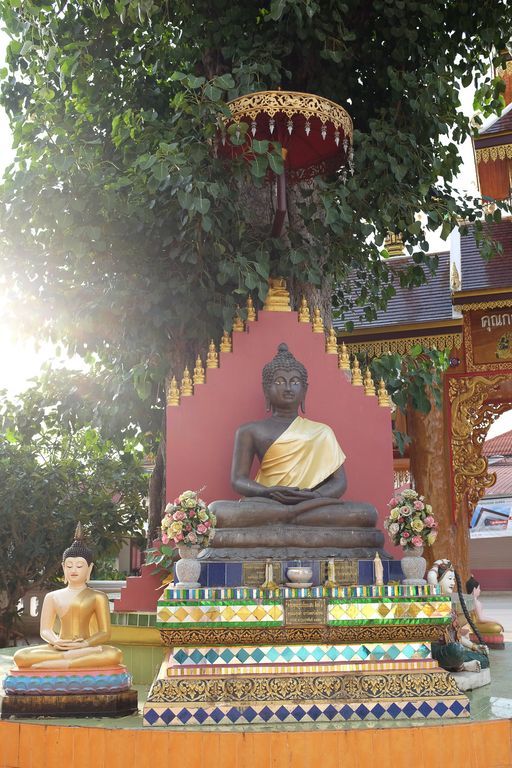 Wat Si Mongkhon (Kong) (Tha Wang Pha District) : Buddha Image