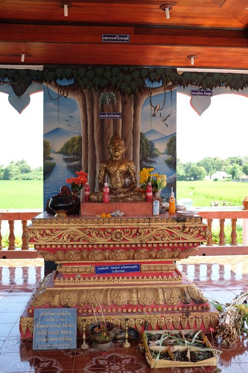 Wat Na Pang (Mueang District) : Buddha Image