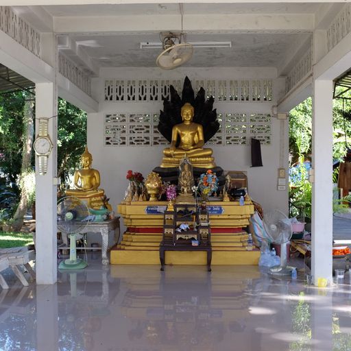 Wat Klang (Song District) : Buddha Image