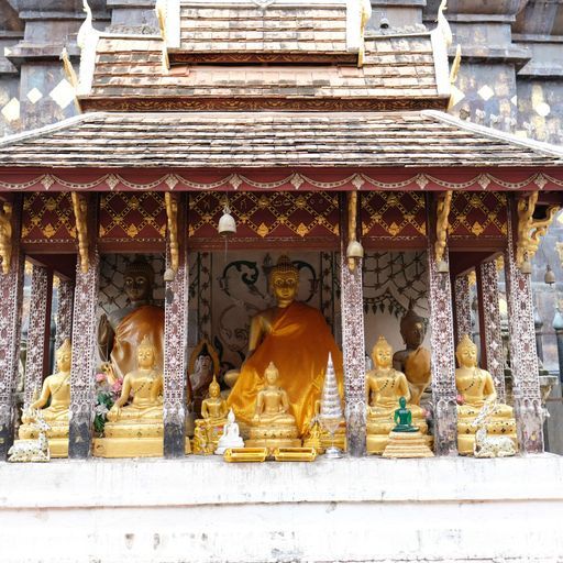 Wat Phra That Lampang Luang (Ko Kha District) : Buddha Image