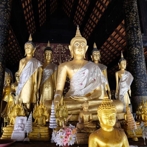 Wat Phra That Lampang Luang (Ko Kha District) : Buddha Image