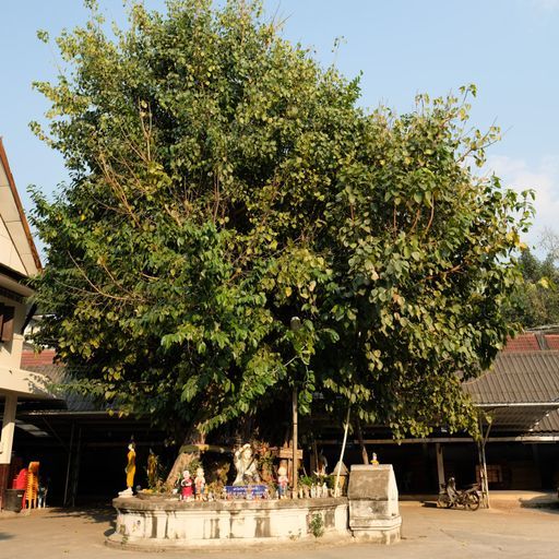 Wat Luang Ratchasanthan (Mueang District)