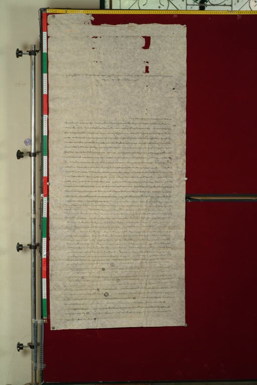 canvas: 1074c_LTWA_285