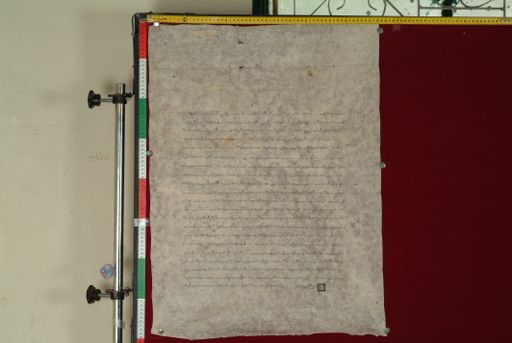 canvas: 1077d_LTWA_288