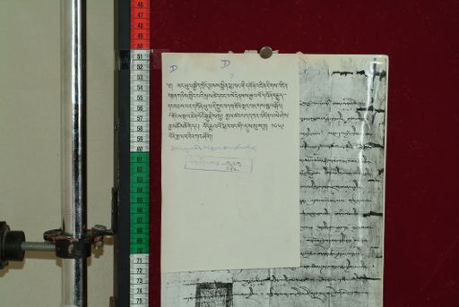 Library of Tibetan Works and Archives (LTWA) ID 3666 (1081_LTWA_292)