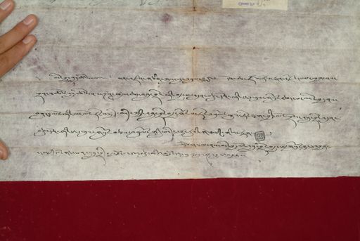 canvas: 1424c_LTWA_666