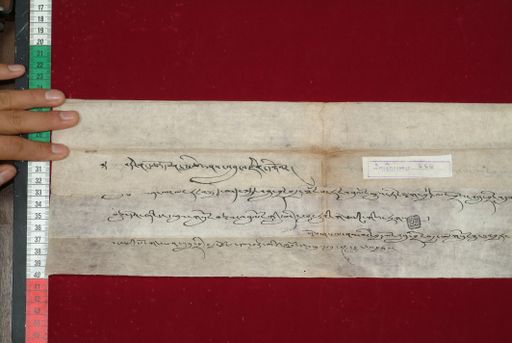 Library of Tibetan Works and Archives (LTWA) ID 3679 (1424_LTWA_666)