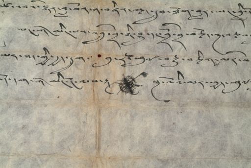 canvas: 1428d_LTWA_670