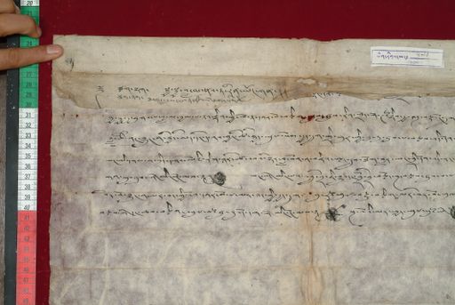 Library of Tibetan Works and Archives (LTWA) ID 3680 (1428_LTWA_670)