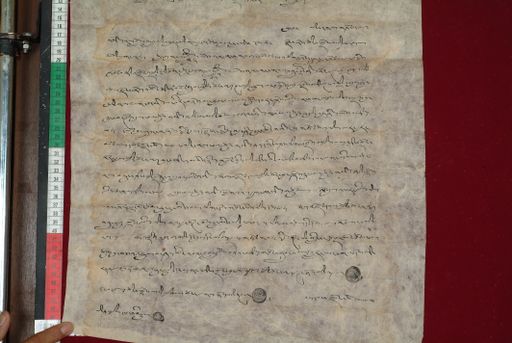 canvas: 1425c_LTWA_667