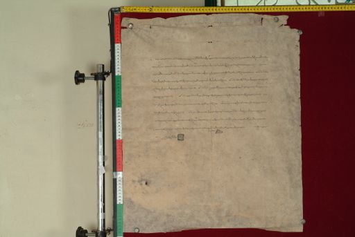 canvas: 1025b_LTWA_236