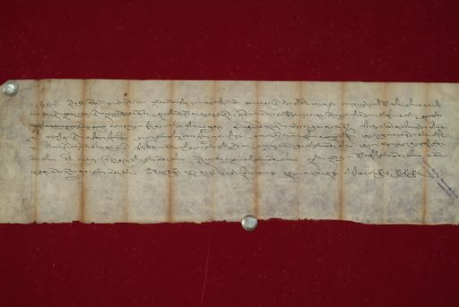 canvas: 1021c_LTWA_232