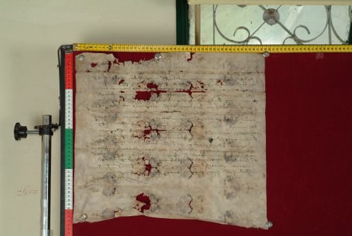 canvas: 1023b_LTWA_234