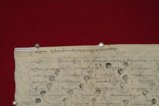 Library of Tibetan Works and Archives (LTWA) ID 3687 (1024_LTWA_235)