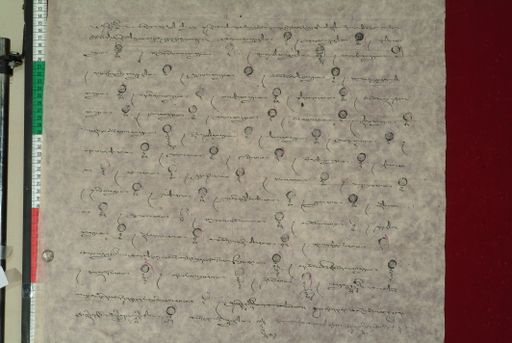 canvas: 1029c_LTWA_240