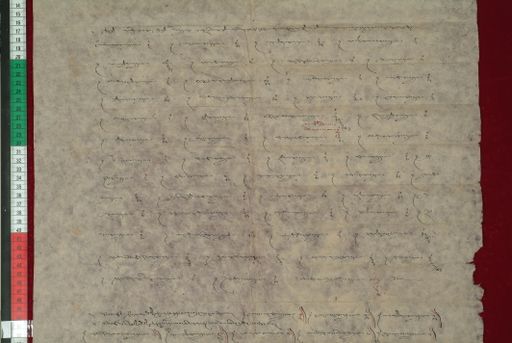 canvas: 1041c_LTWA_252