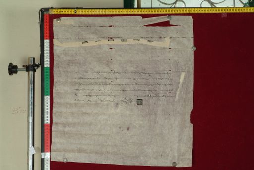 canvas: 1050b_LTWA_261