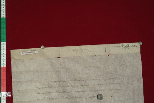 Library of Tibetan Works and Archives (LTWA) ID 3695 (1044_LTWA_255)