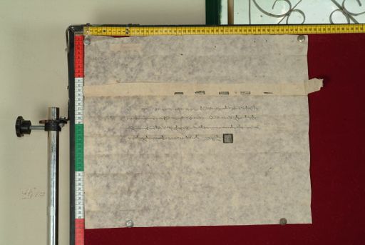 canvas: 1049b_LTWA_260