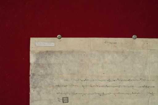 Library of Tibetan Works and Archives (LTWA) ID 3699 (1046_LTWA_257)