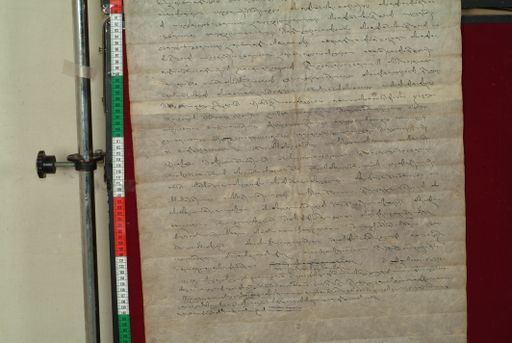 canvas: 0993f_LTWA_205