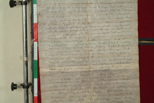 canvas: 0993e_LTWA_205