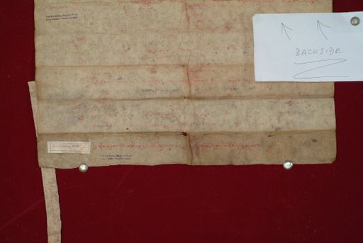 canvas: 0992j_LTWA_204