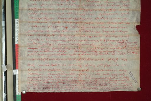 canvas: 0998d_LTWA_210