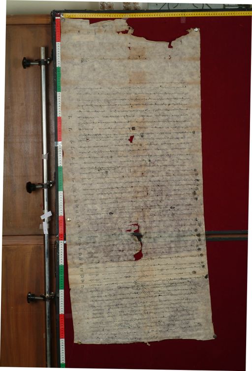 canvas: 1483c_LTWA_725