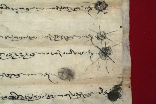 canvas: 1483i_LTWA_725