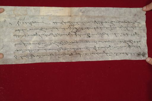 canvas: 1487c_LTWA_729