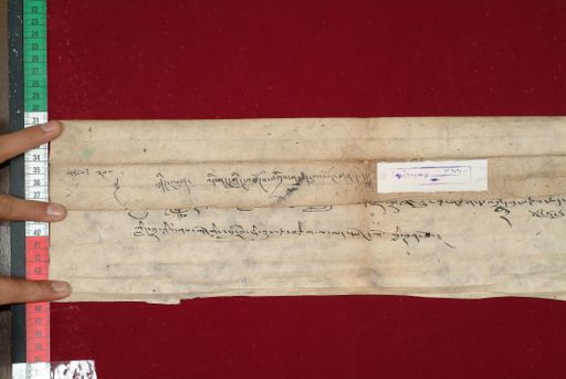 Library of Tibetan Works and Archives (LTWA) ID 3716 (1490_LTWA_732)