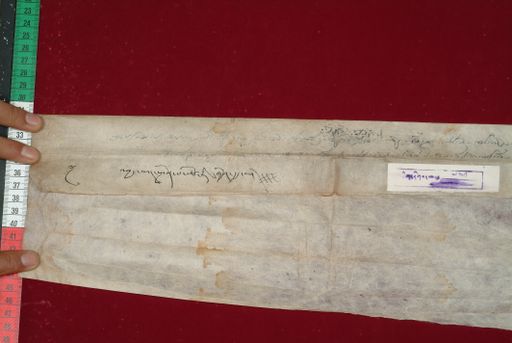 Library of Tibetan Works and Archives (LTWA) ID 3717 (1489_LTWA_731)