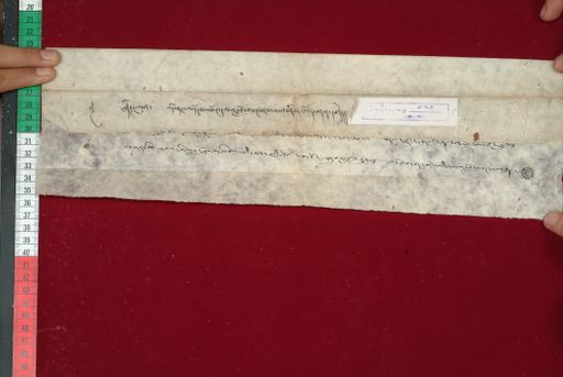 Library of Tibetan Works and Archives (LTWA) ID 3718 (1488_LTWA_730)